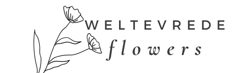 Weltevrede flower farm Ashton Western Cape